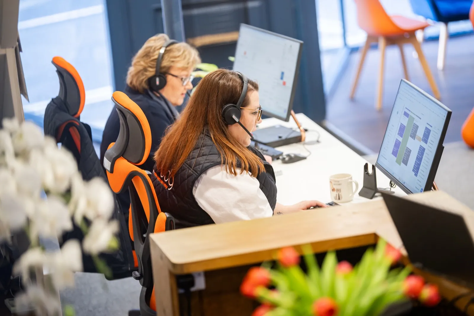 Two members of staff working at their desks in a member agency office